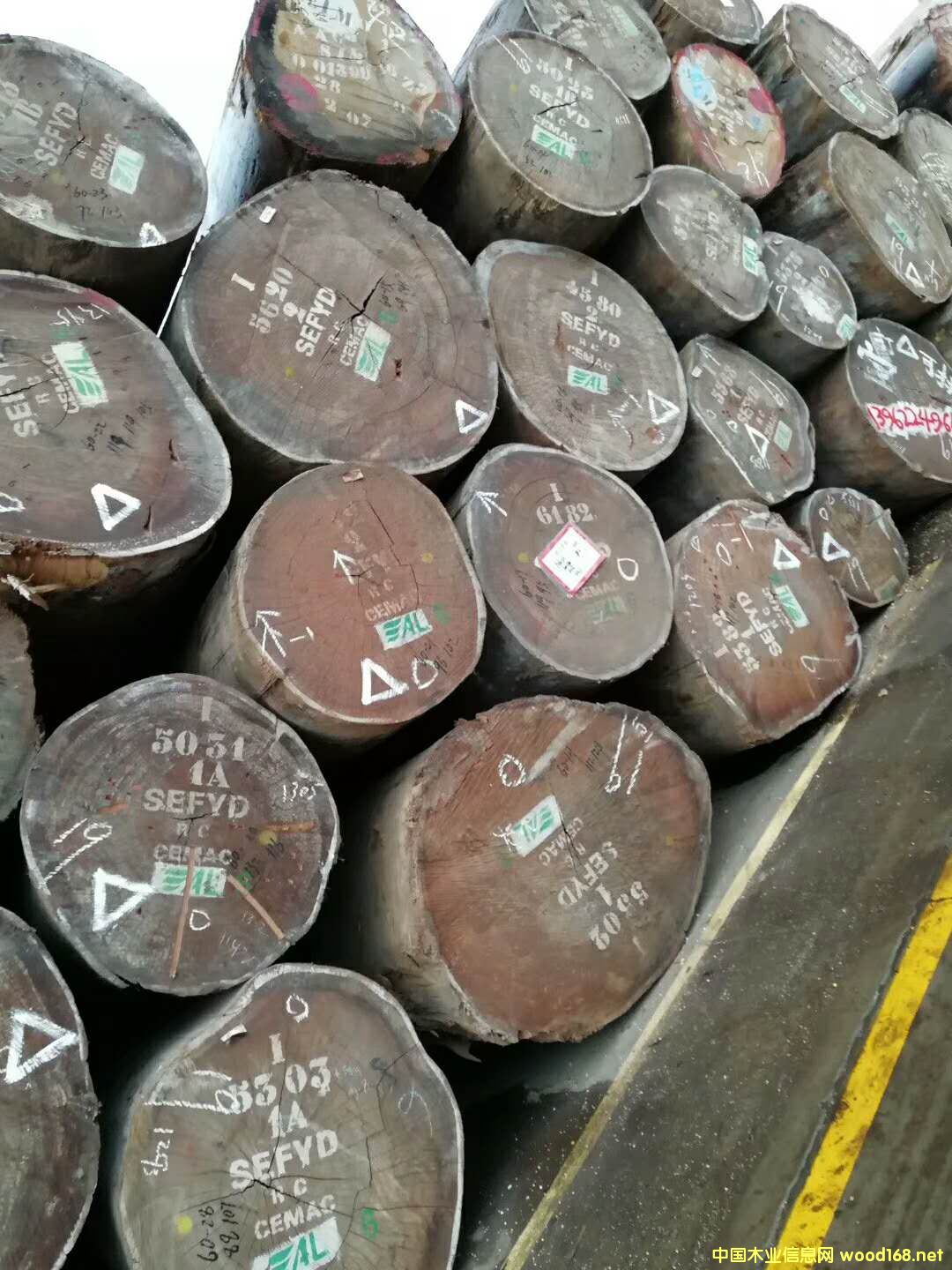   ɳ����������