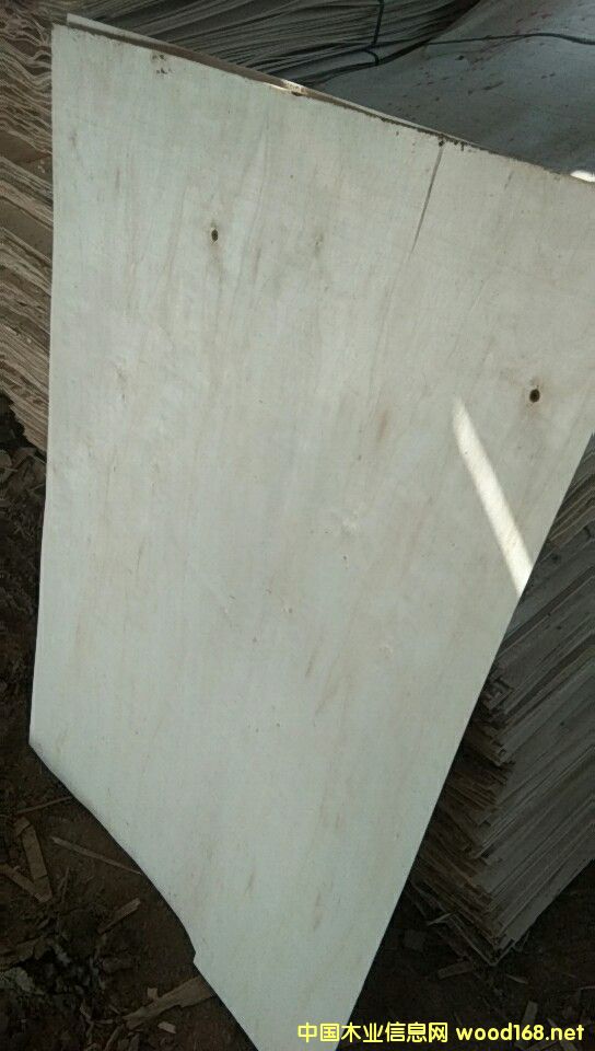  ���Kʡ�������S�h�Z��ľ�I(y��)���L�ڹ���(y��ng)��ľƤ��