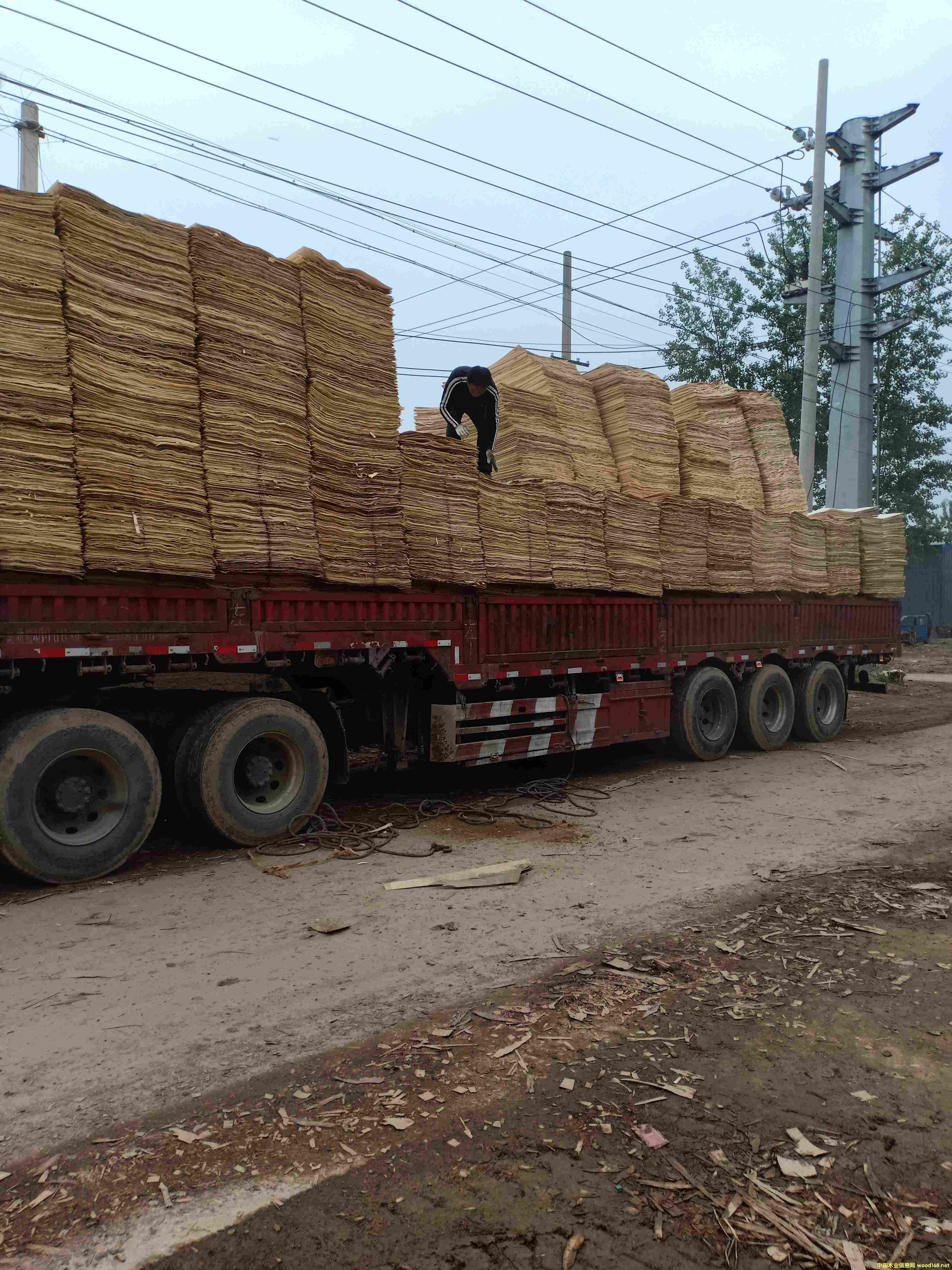 三拼板的詳細(xì)介紹