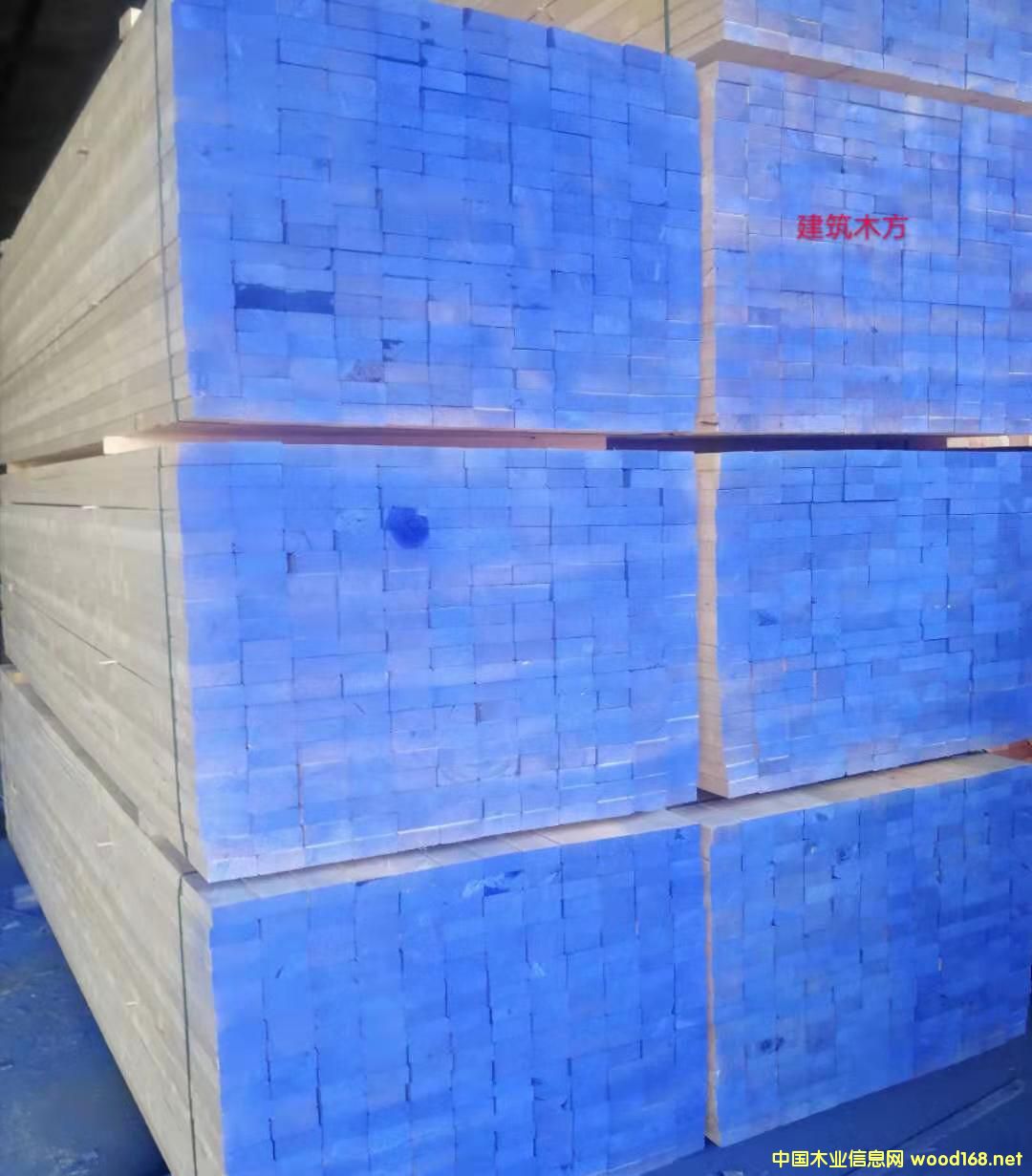 的詳細(xì)介紹