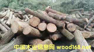   ��Ԕ��(x��)��B