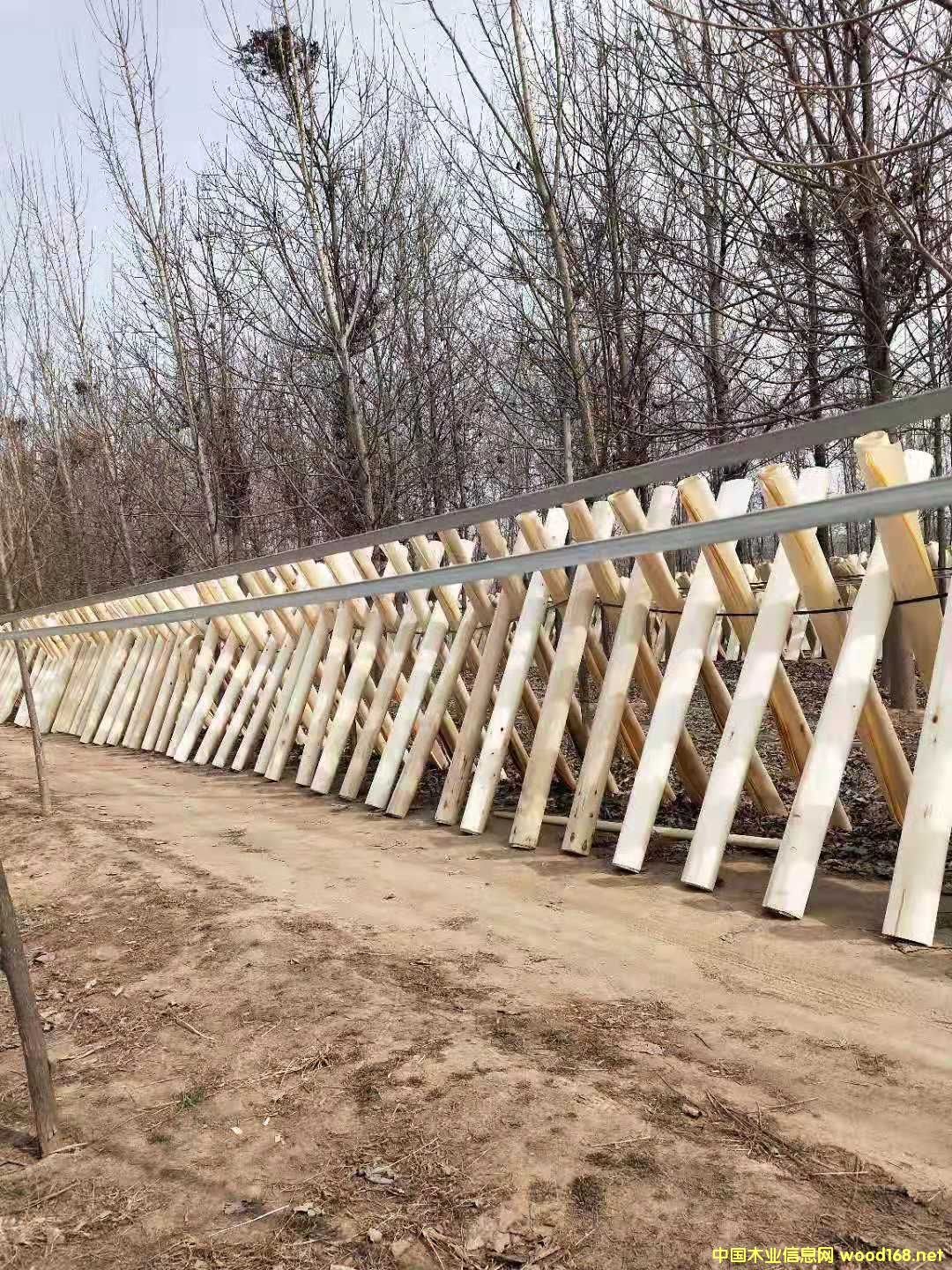 ��ľ��Ƥ��Ԕ��(x��)��B