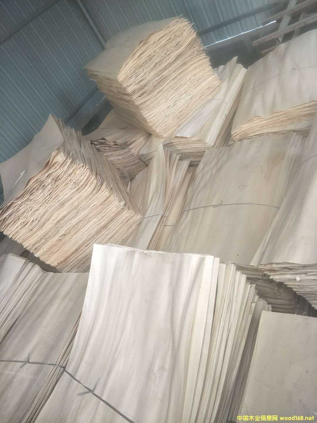 純白的詳細(xì)介紹