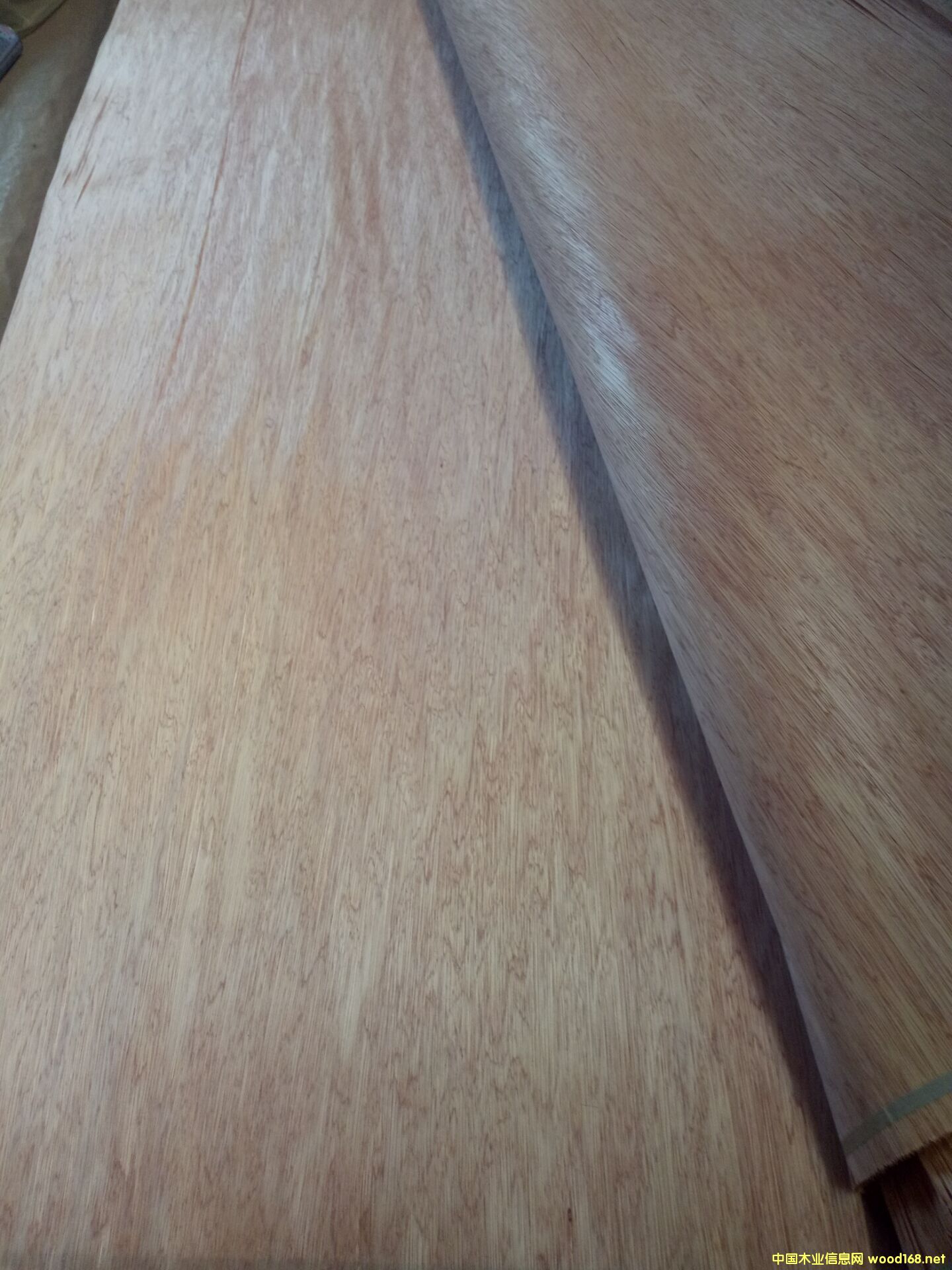 ���ǹ���Ƥ��Ԕ��(x��)��B