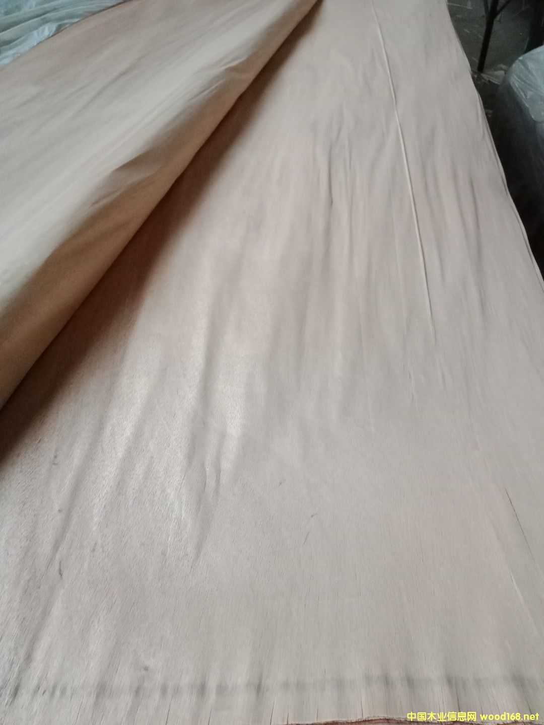 �sľ��Ƥ��Ԕ��(x��)��B