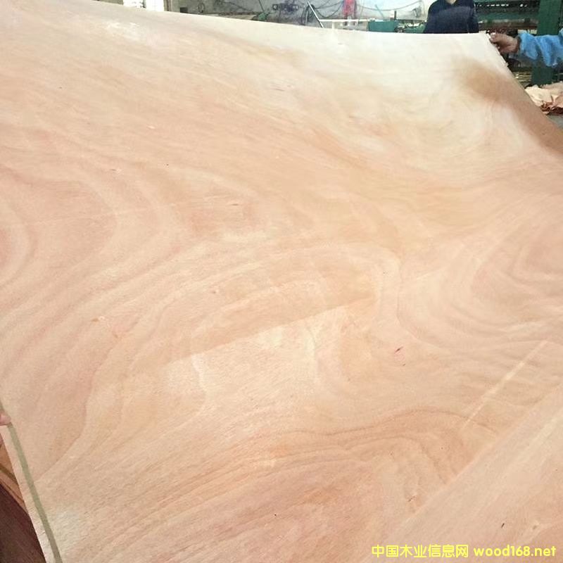 �һ�о��Ƥ��Ԕ��(x��)��B