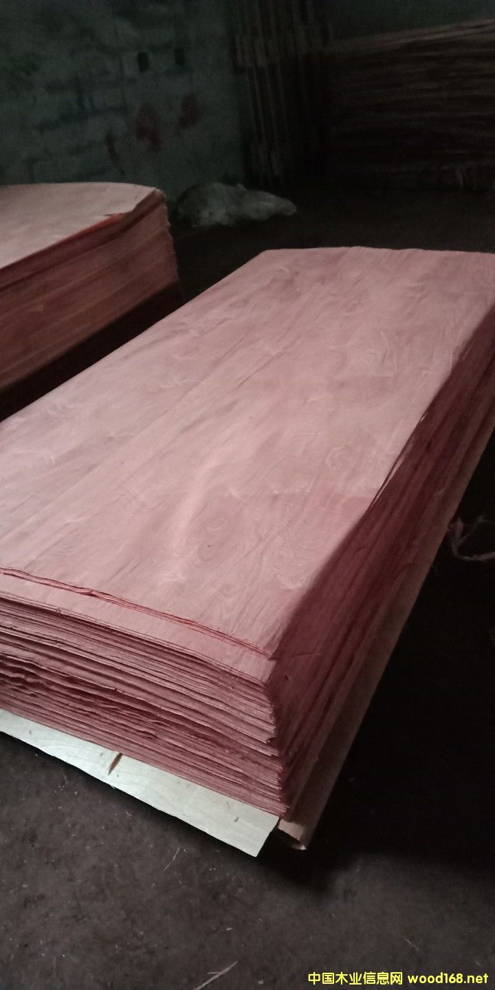 ɳ������Ƥ��Ԕ��(x��)��B