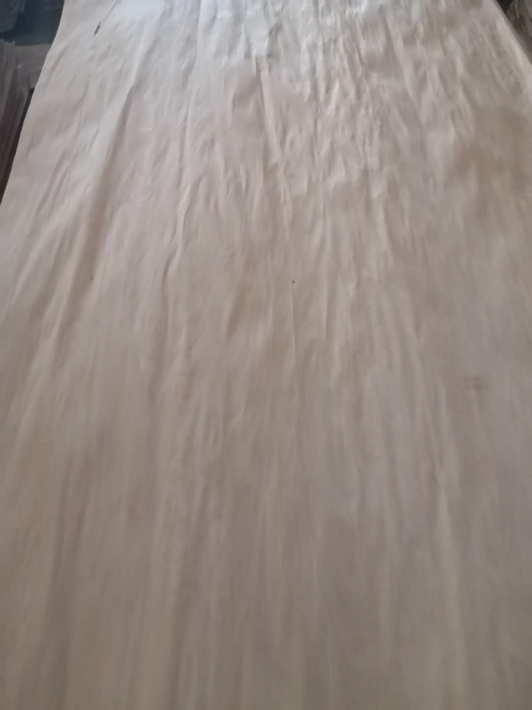 ��ľ��Ƥ��Ԕ��(x��)��B