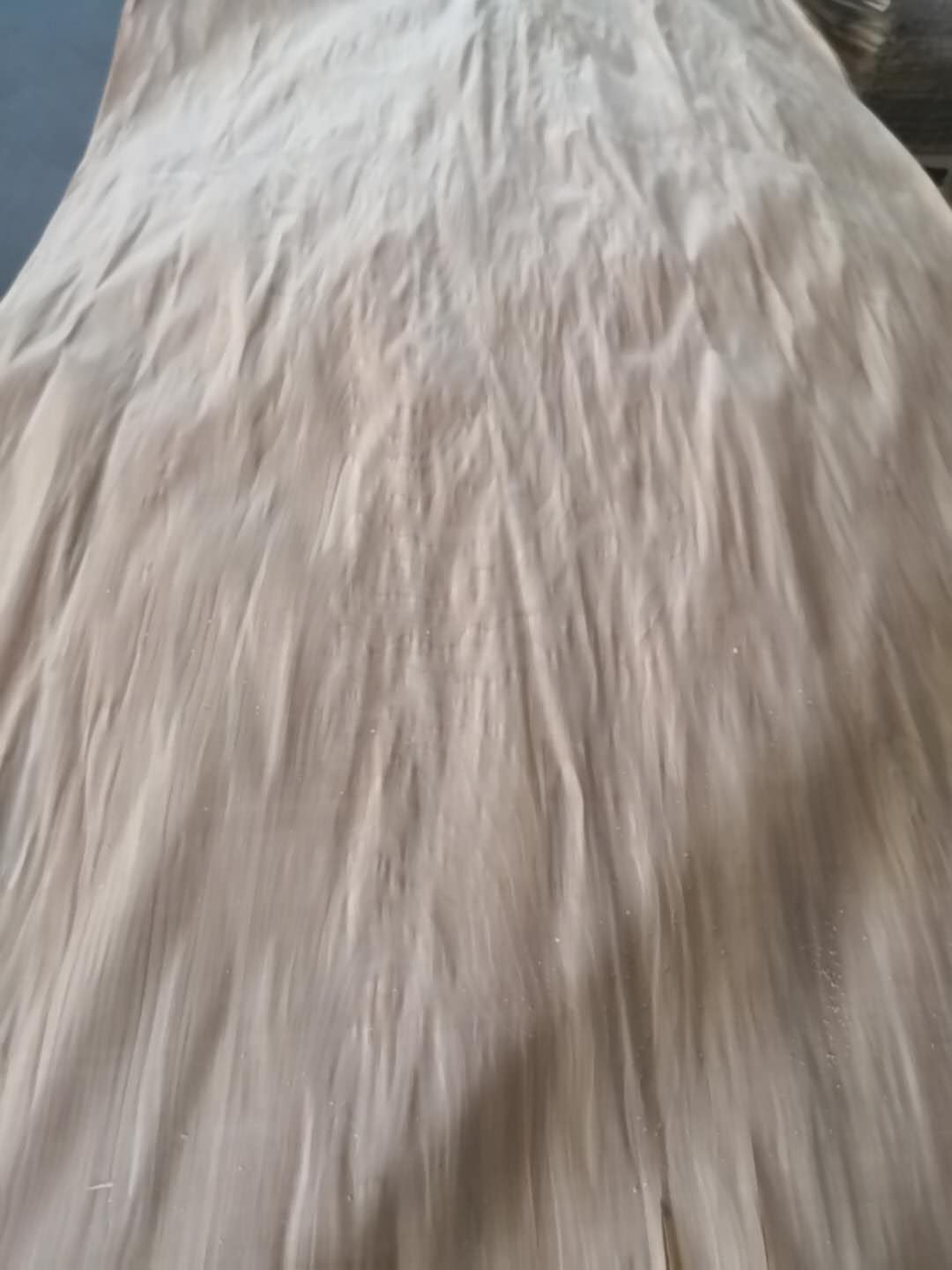 ��ľ��Ƥ��Ԕ��(x��)��B