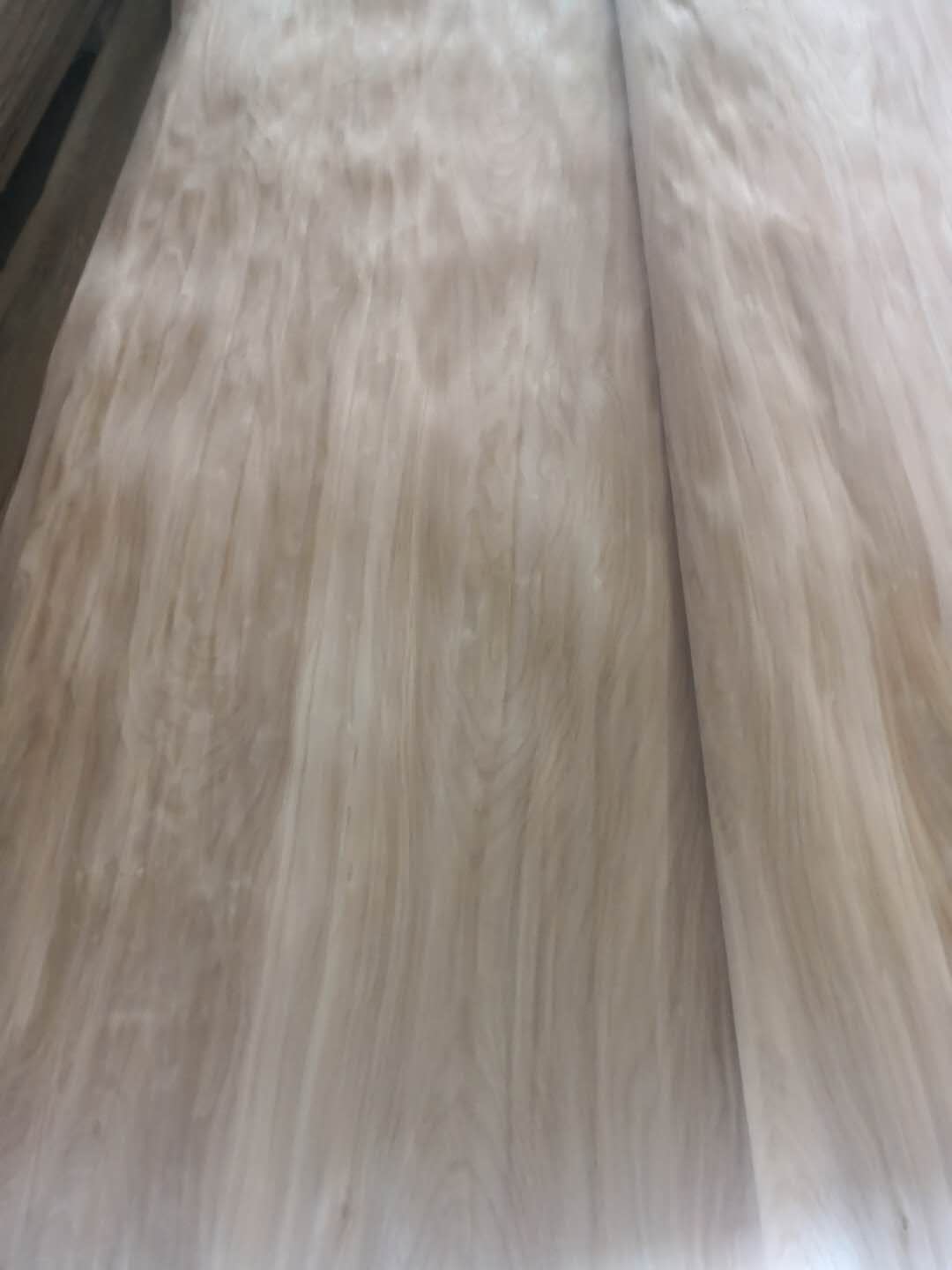 ��ľ��Ƥ��Ԕ��(x��)��B