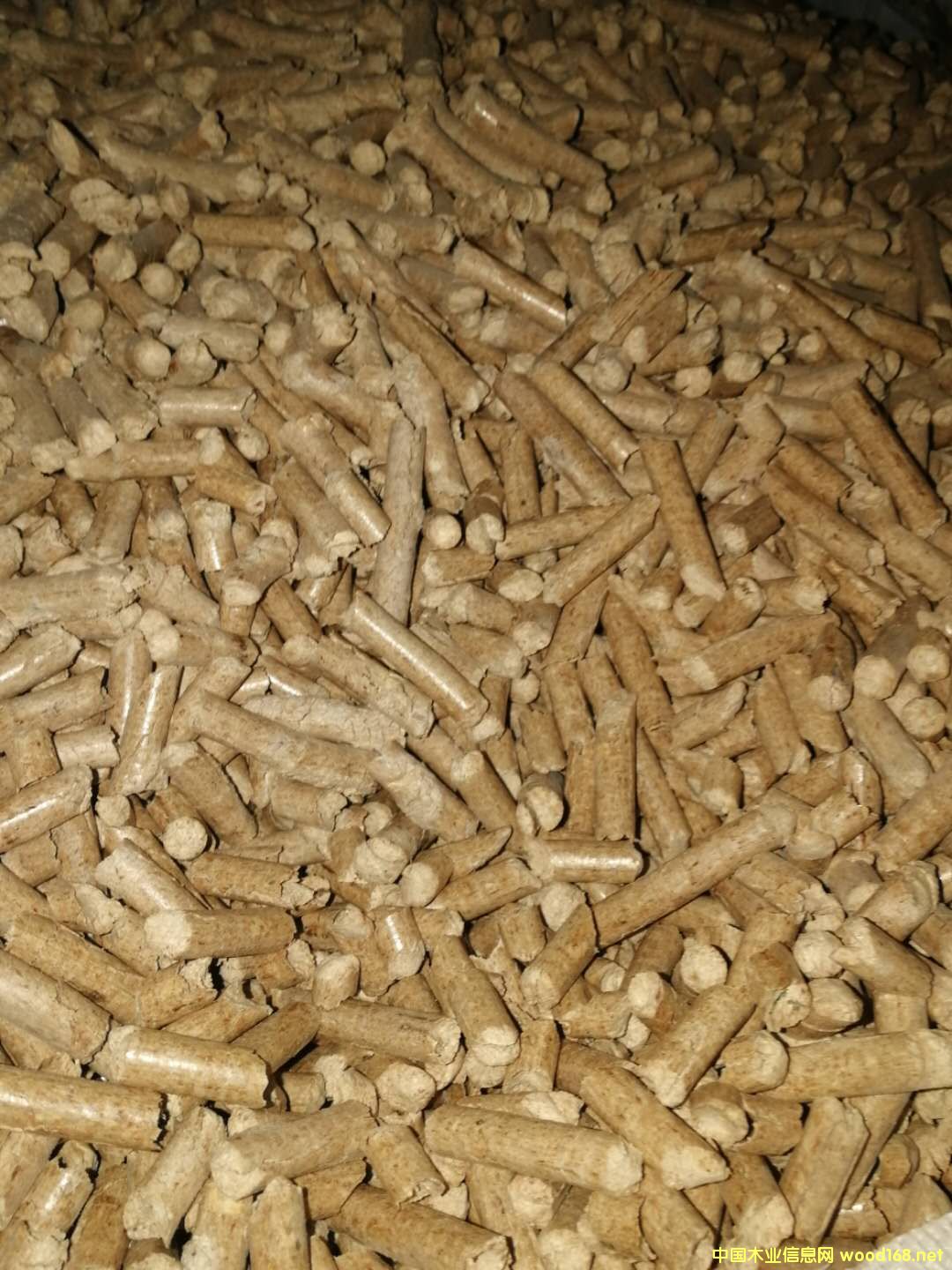 �����|(zh��)�w���������w��