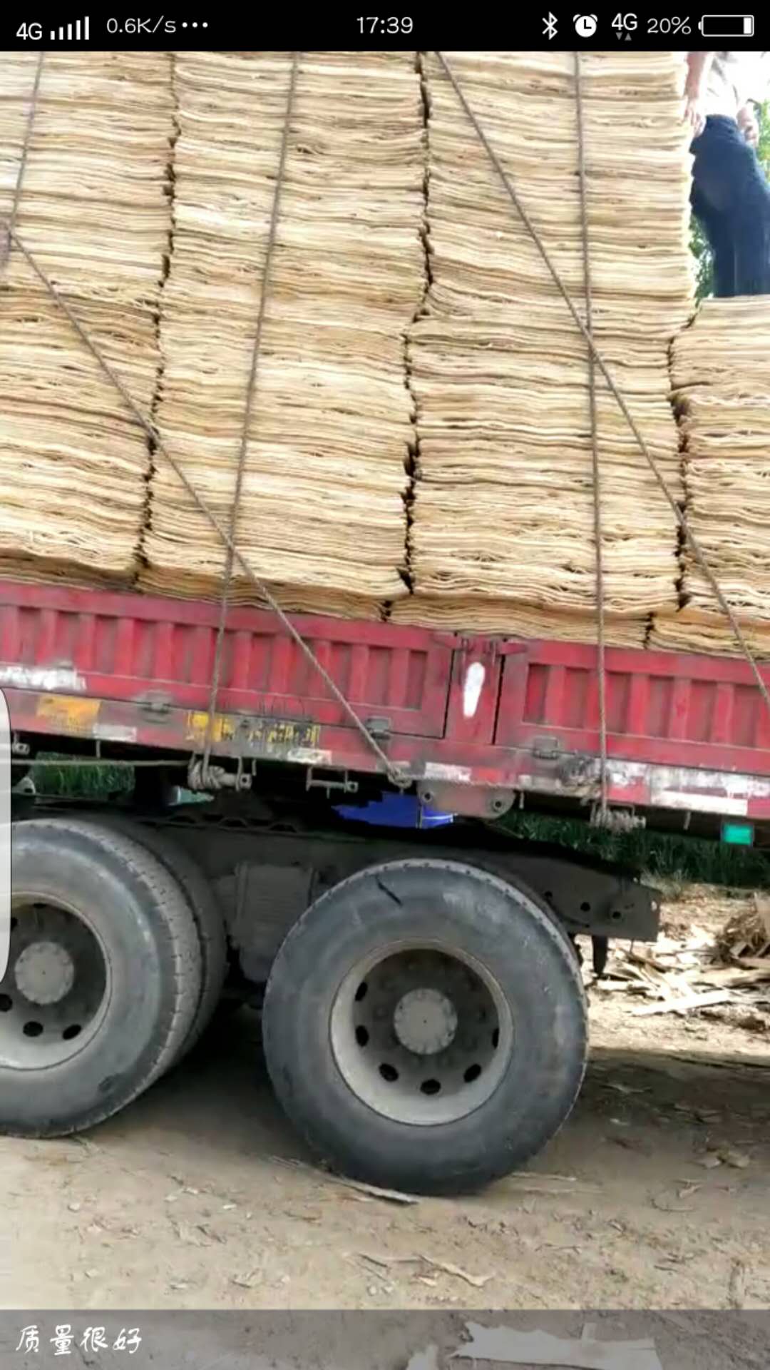 ��ľƤ�ӵ�Ԕ����B