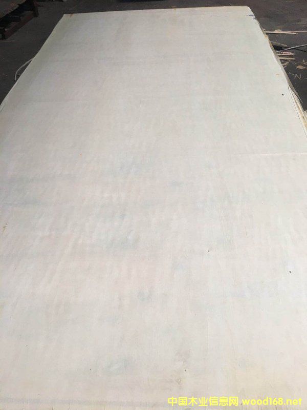 的詳細(xì)介紹