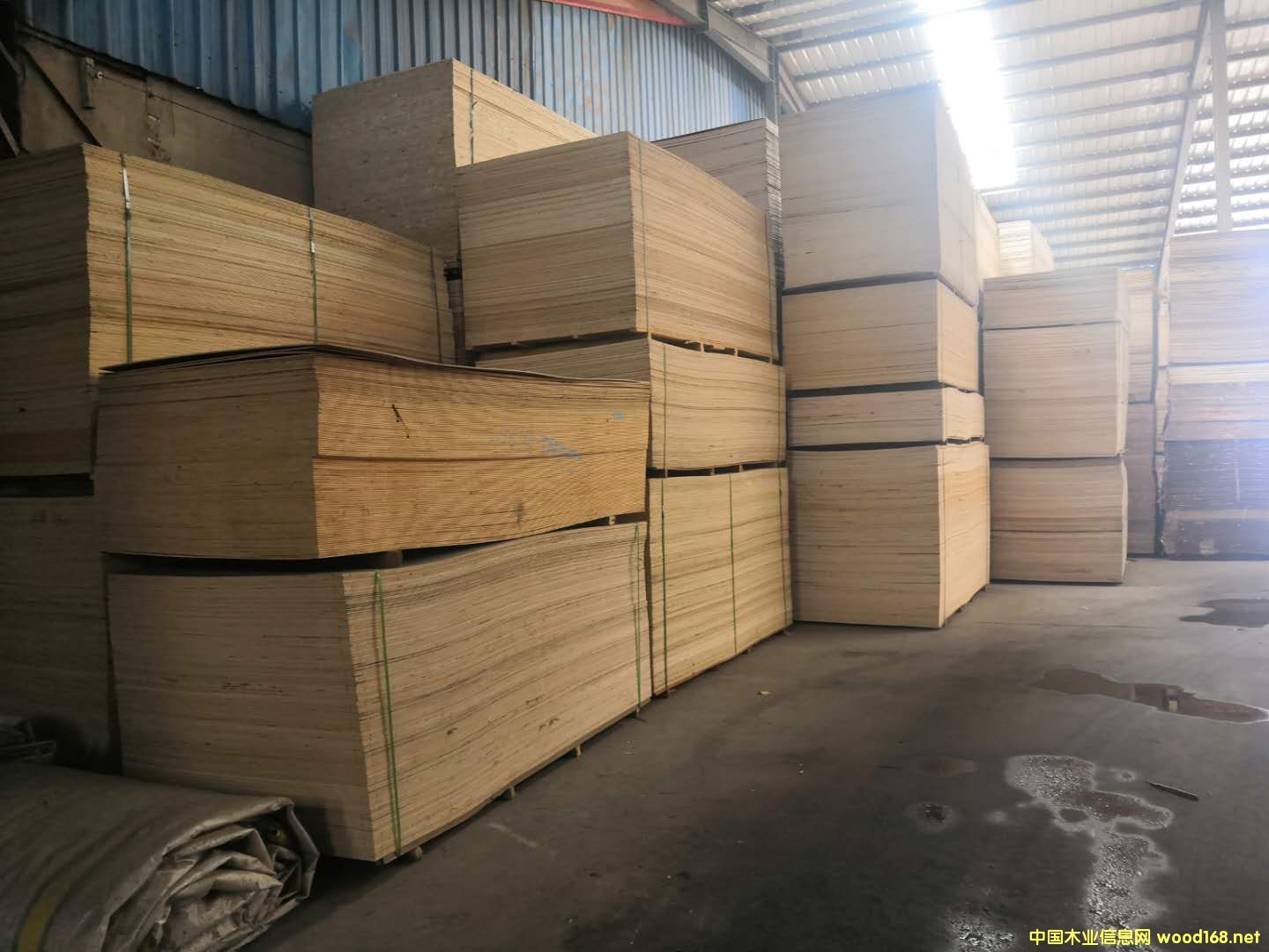 的詳細(xì)介紹