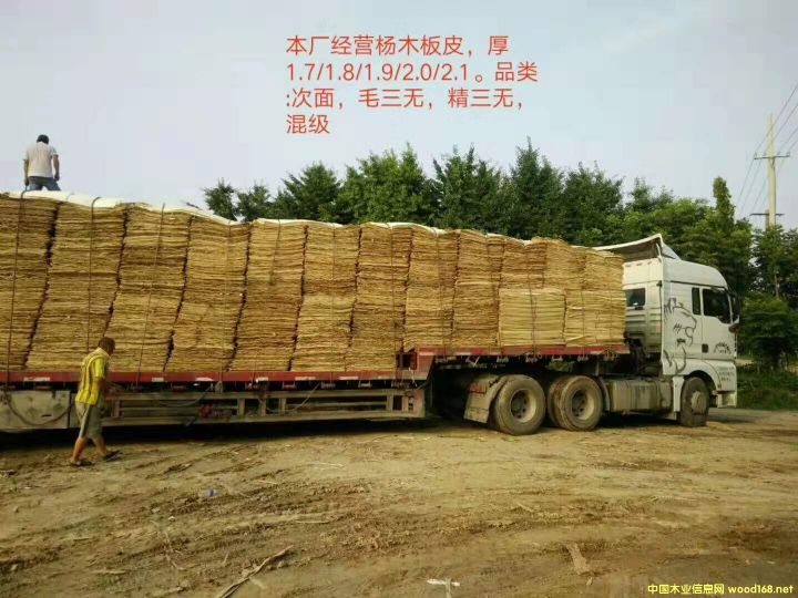 ��ľƤ�ӵ�Ԕ��(x��)��B