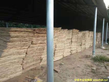 ��ͨ�A��Ƥ�](m��i)��ȼ