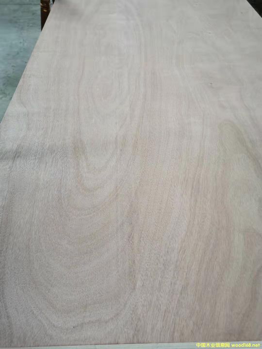 的詳細(xì)介紹