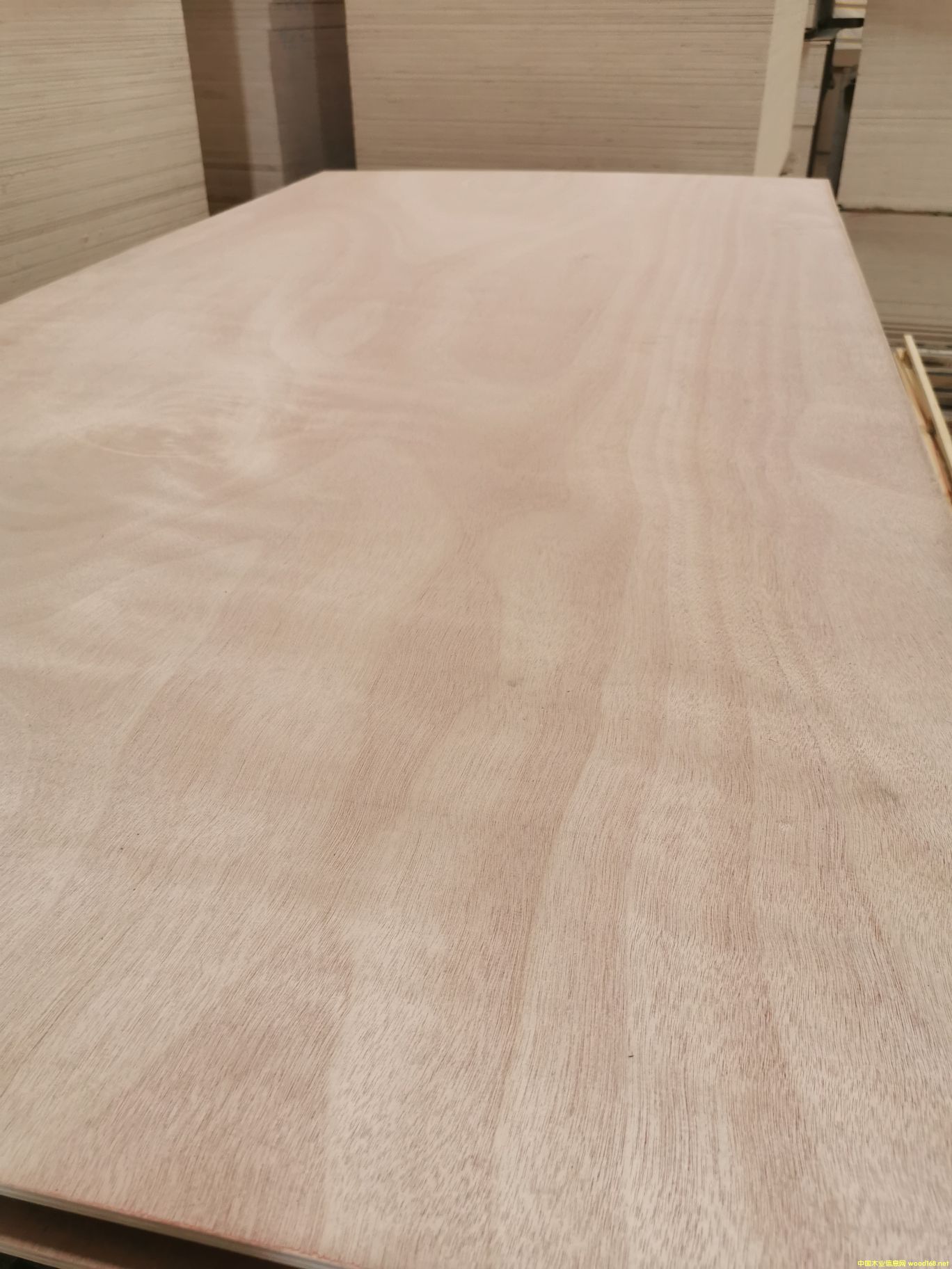 的詳細(xì)介紹