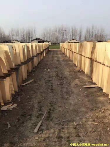 ��ľ�ΰ��Ԕ��(x��)��B