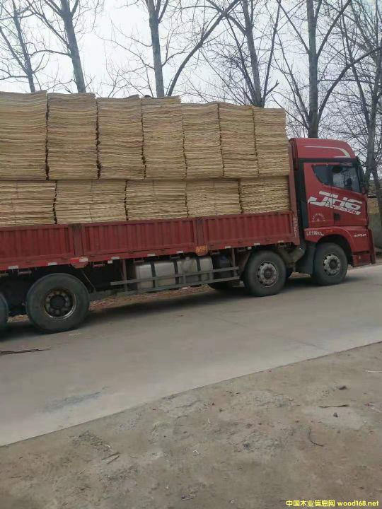 ��ľ�ΰ��Ԕ��(x��)��B