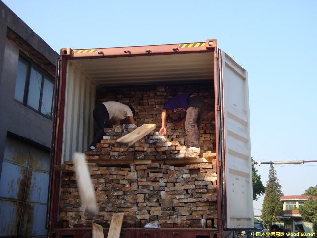 [��] ����(y��ng)�����ľ������R����ľ����albizia falcata