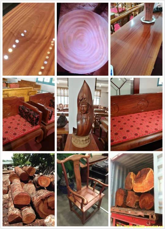 [��] �����һ�оľ���һ��İ�ģ���mahogany,���~�һ����������һ���