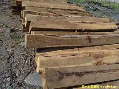 [��] ����(y��ng)�M(j��n)����˼ľԭľ�����~��˼ľ�ʣ�ACACIA