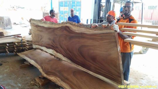 [��] ����(y��ng)�M(j��n)����˼ľACACIA����ľ����Ϛgľ������˼ľ