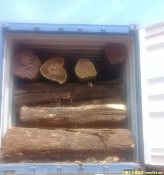 [��] �L�ڹ���(y��ng)���~��˼ľ�� ������ľ��ACACIA