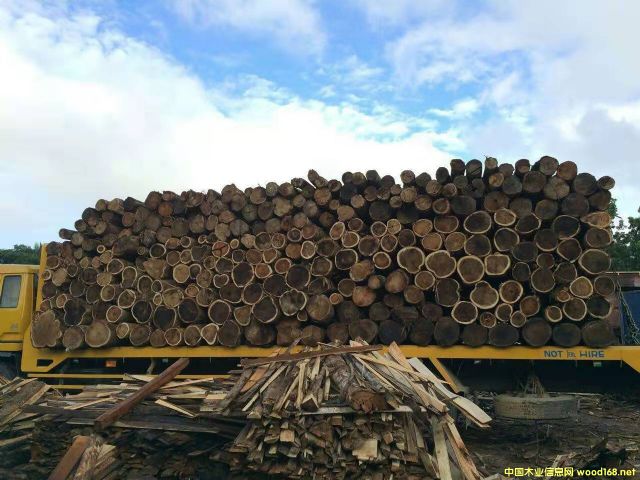 ���~��˼ľԭľ