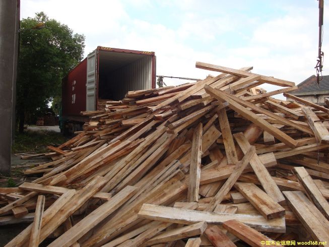 [��] ����(y��ng)�����ľ������R����ľ����albizia falcata