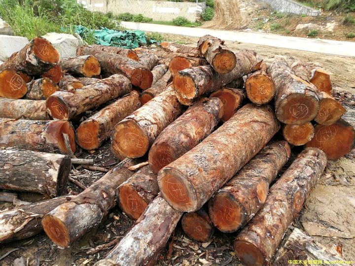 [��] �����һ�оľ���һ��İ�ģ���mahogany,���~�һ����������һ���