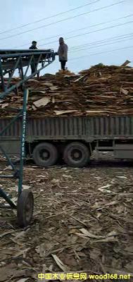  ��Ԕ��(x��)��B