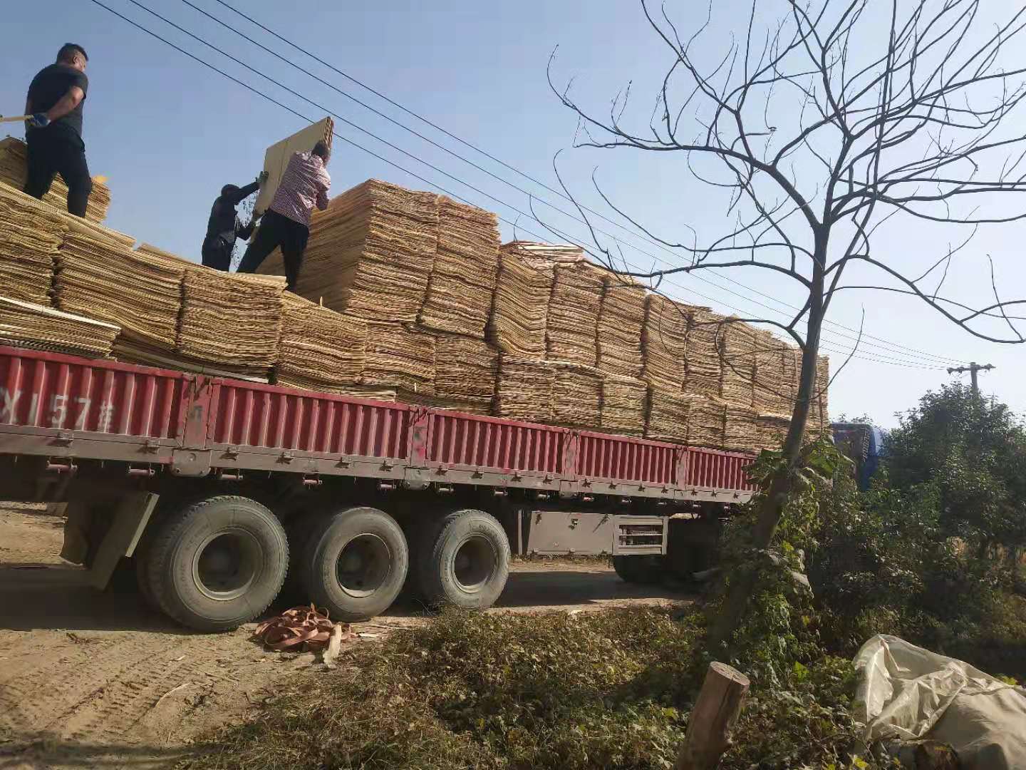 的詳細(xì)介紹