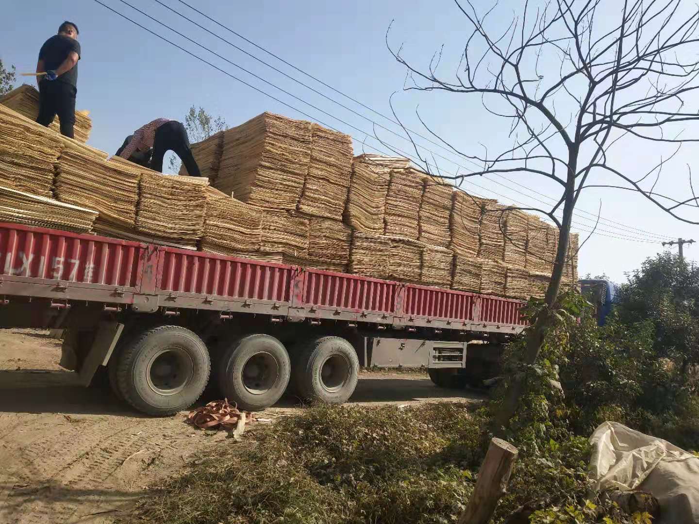 的詳細(xì)介紹