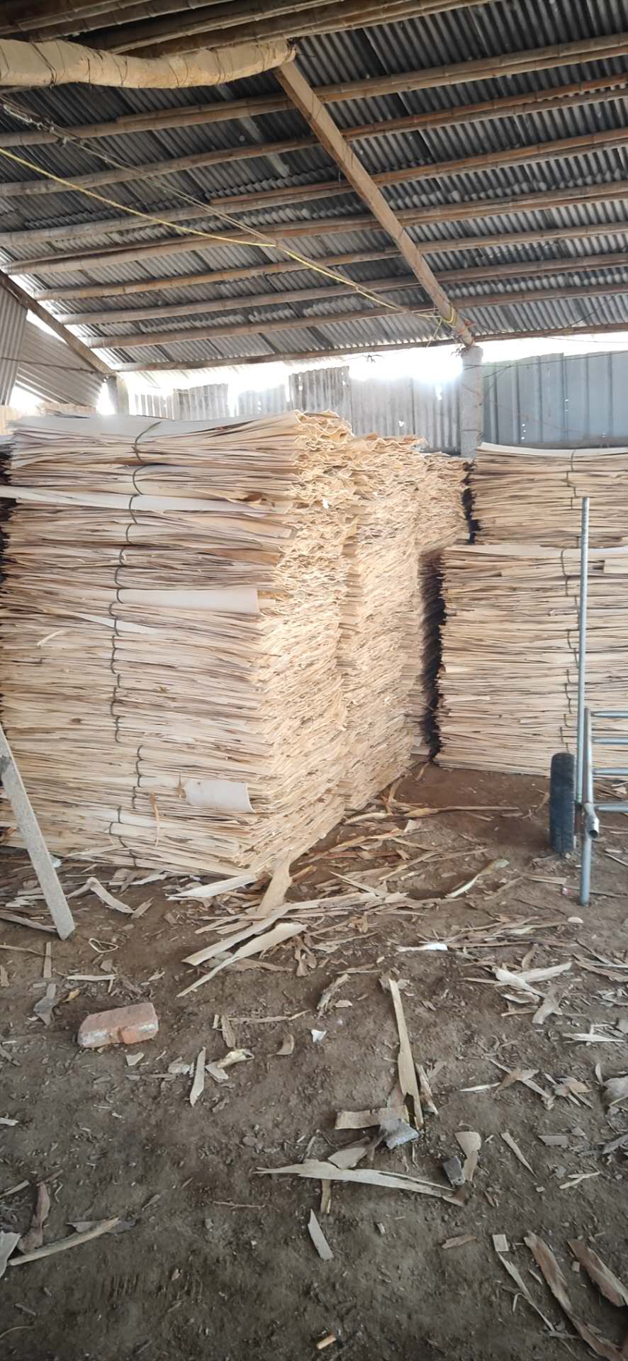  ��Ԕ��(x��)��B