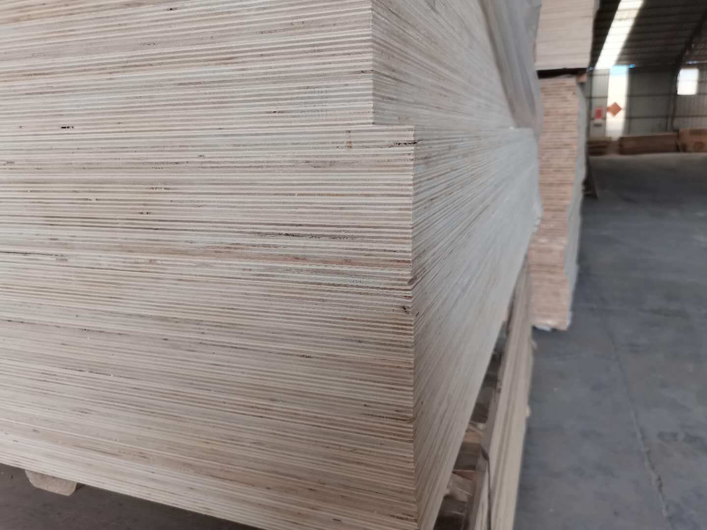 的詳細(xì)介紹