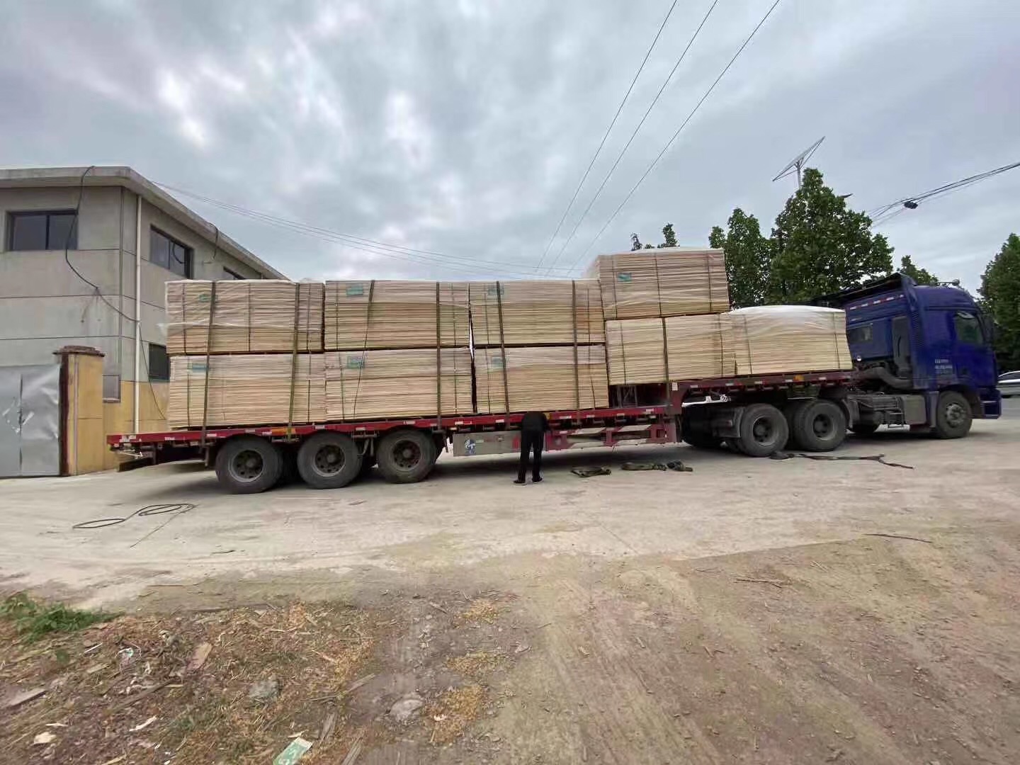 的詳細(xì)介紹