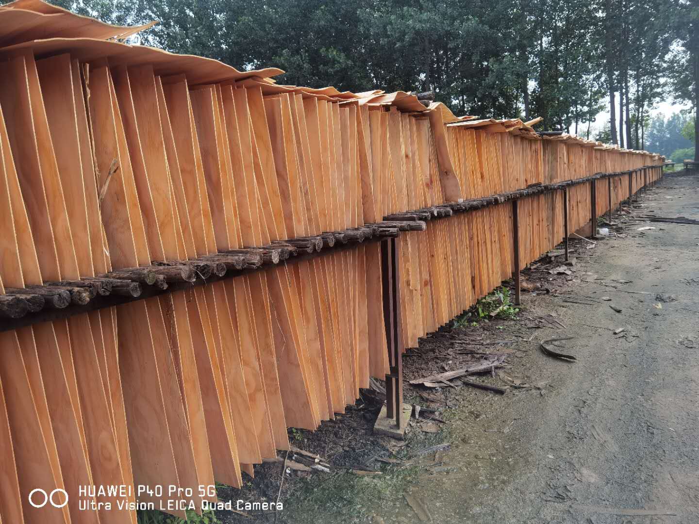 的詳細(xì)介紹