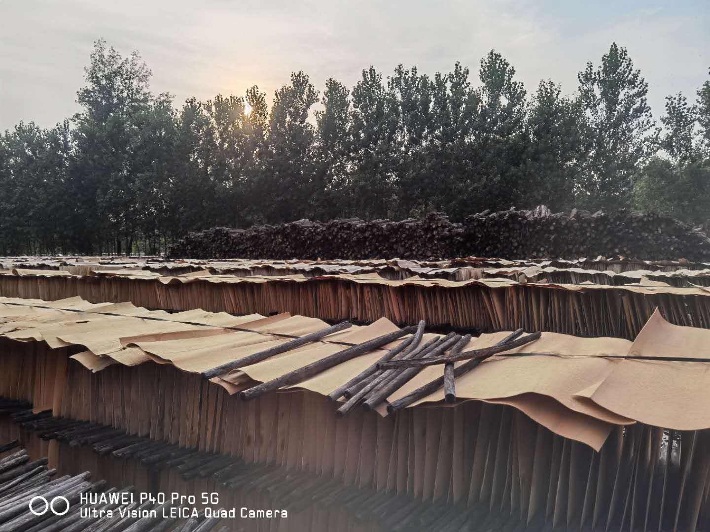 的詳細(xì)介紹