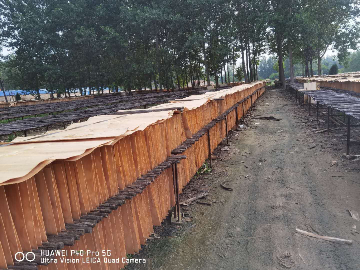 的詳細(xì)介紹