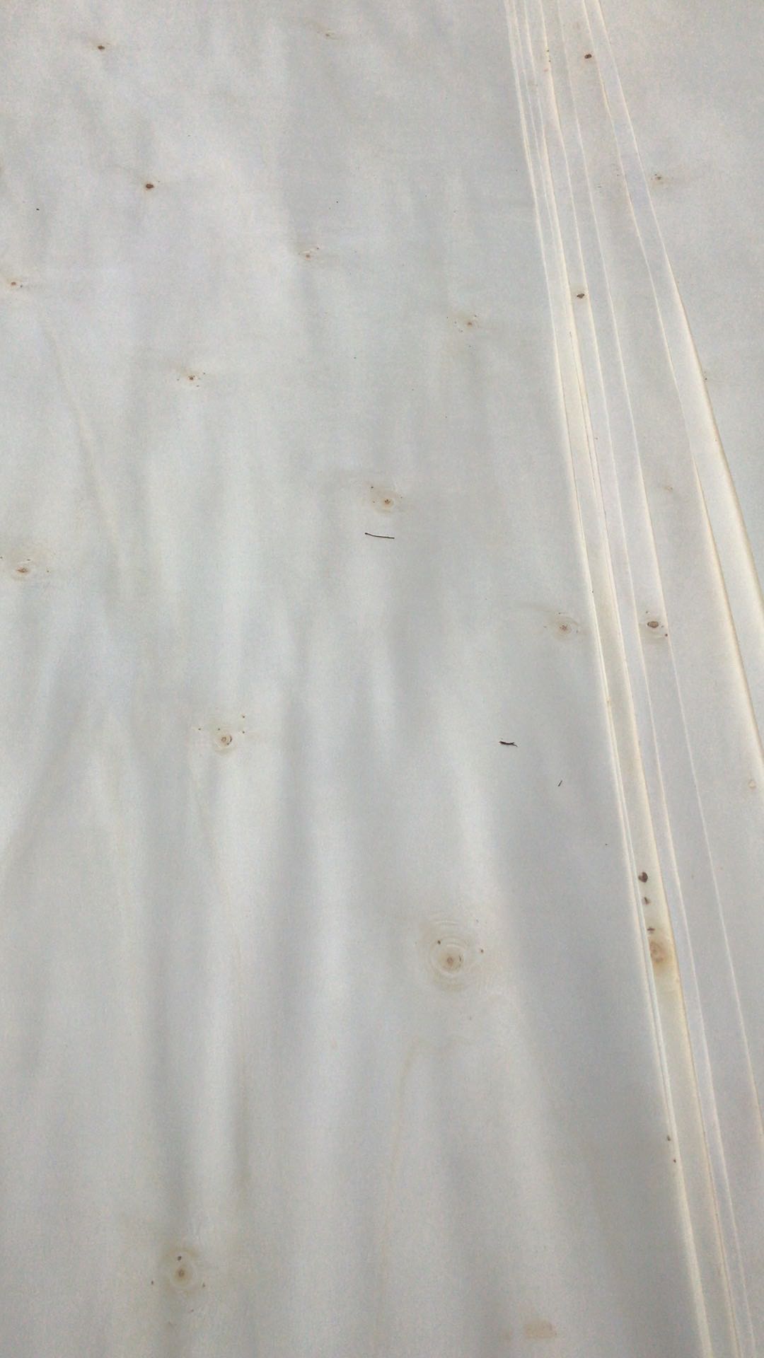 的詳細(xì)介紹