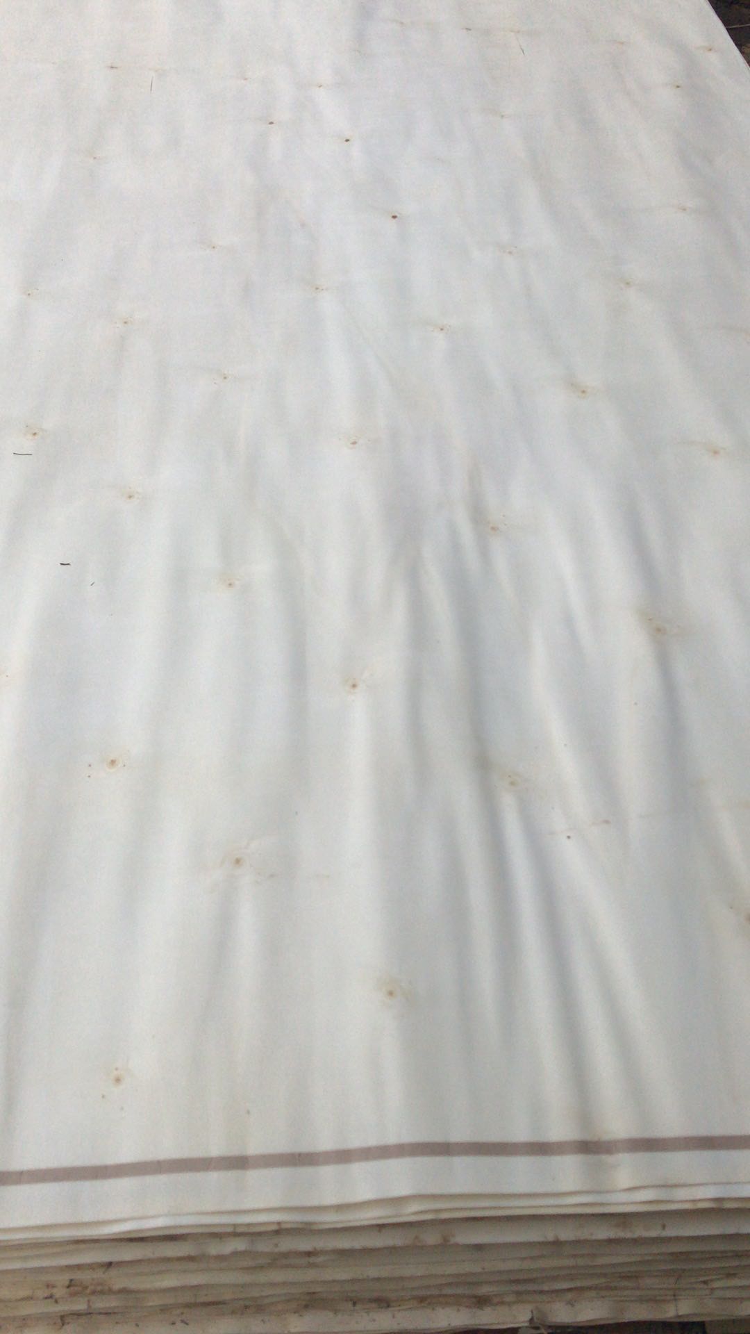 的詳細(xì)介紹