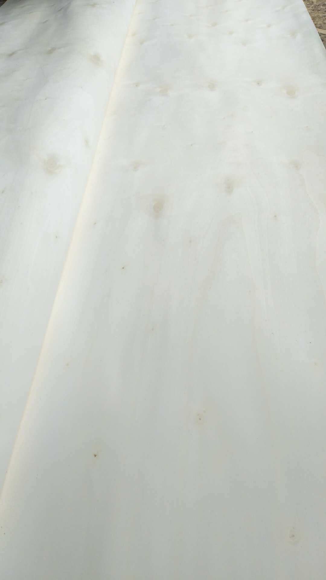 的詳細(xì)介紹