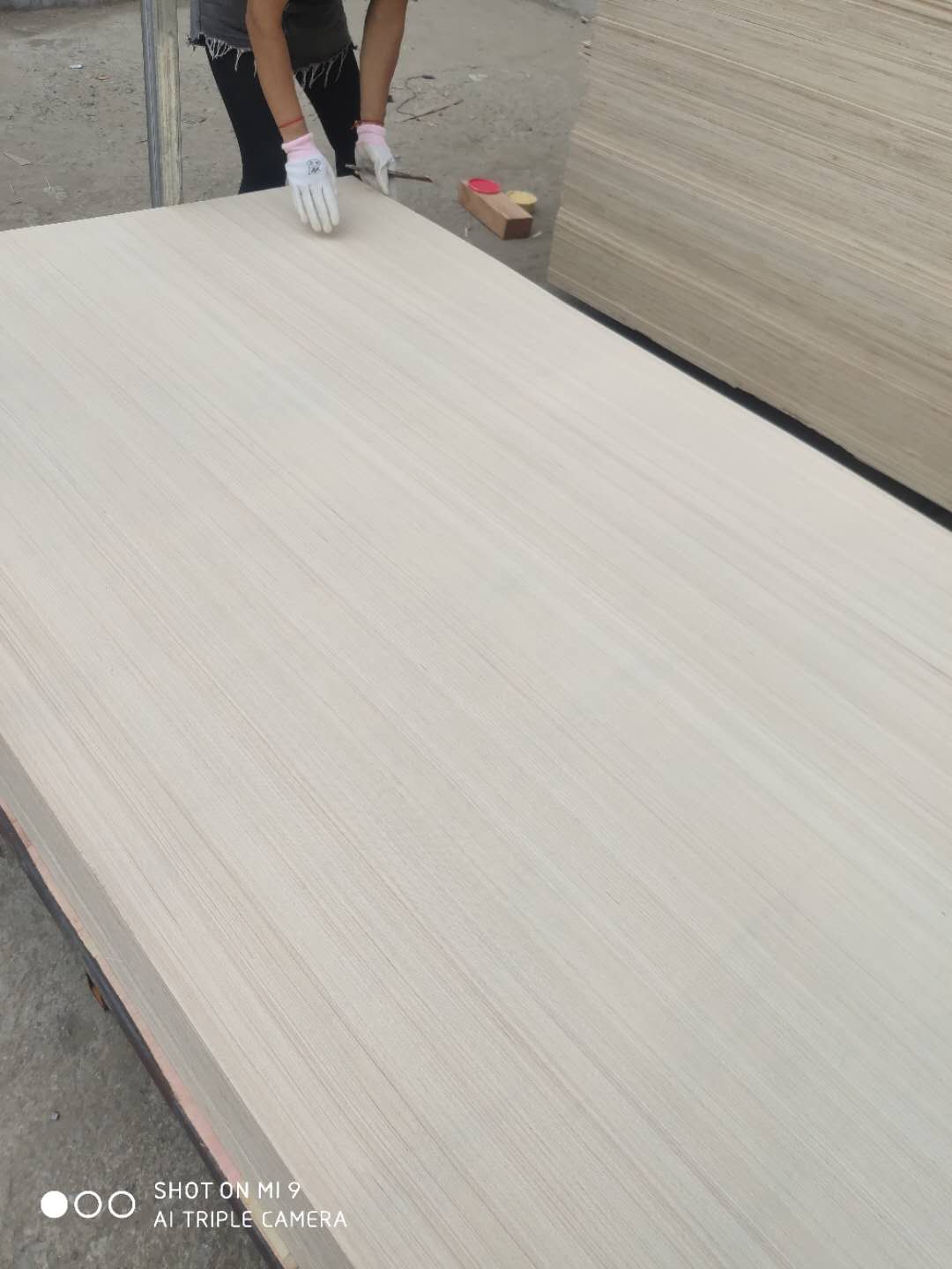 的詳細(xì)介紹