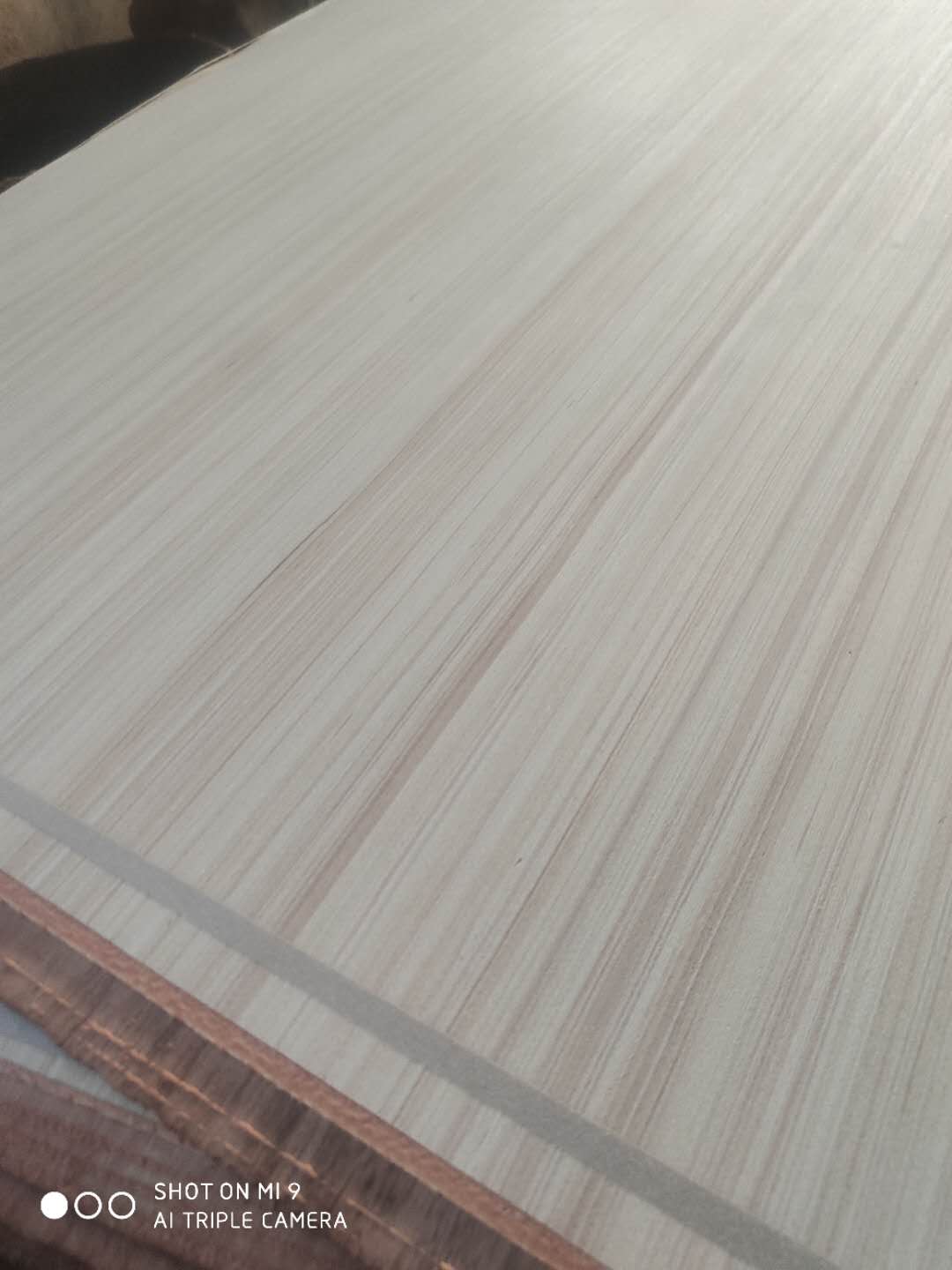 的詳細(xì)介紹