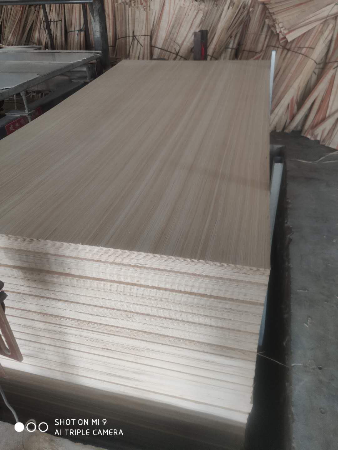 的詳細(xì)介紹