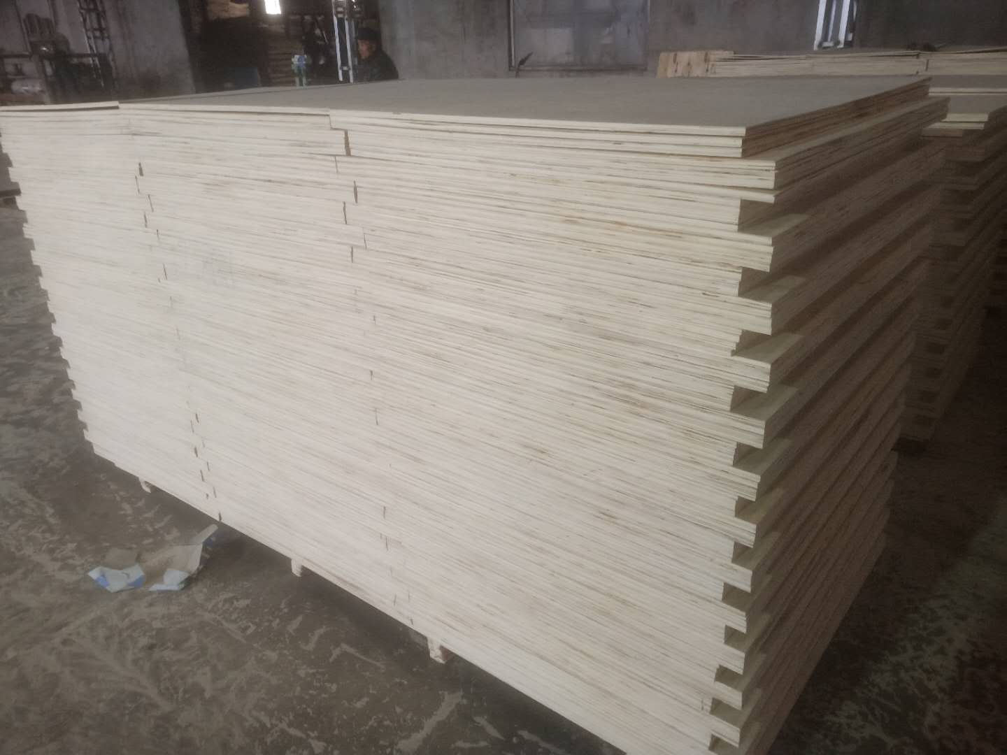 的詳細(xì)介紹