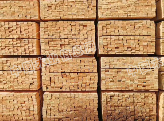  ��Ԕ����B