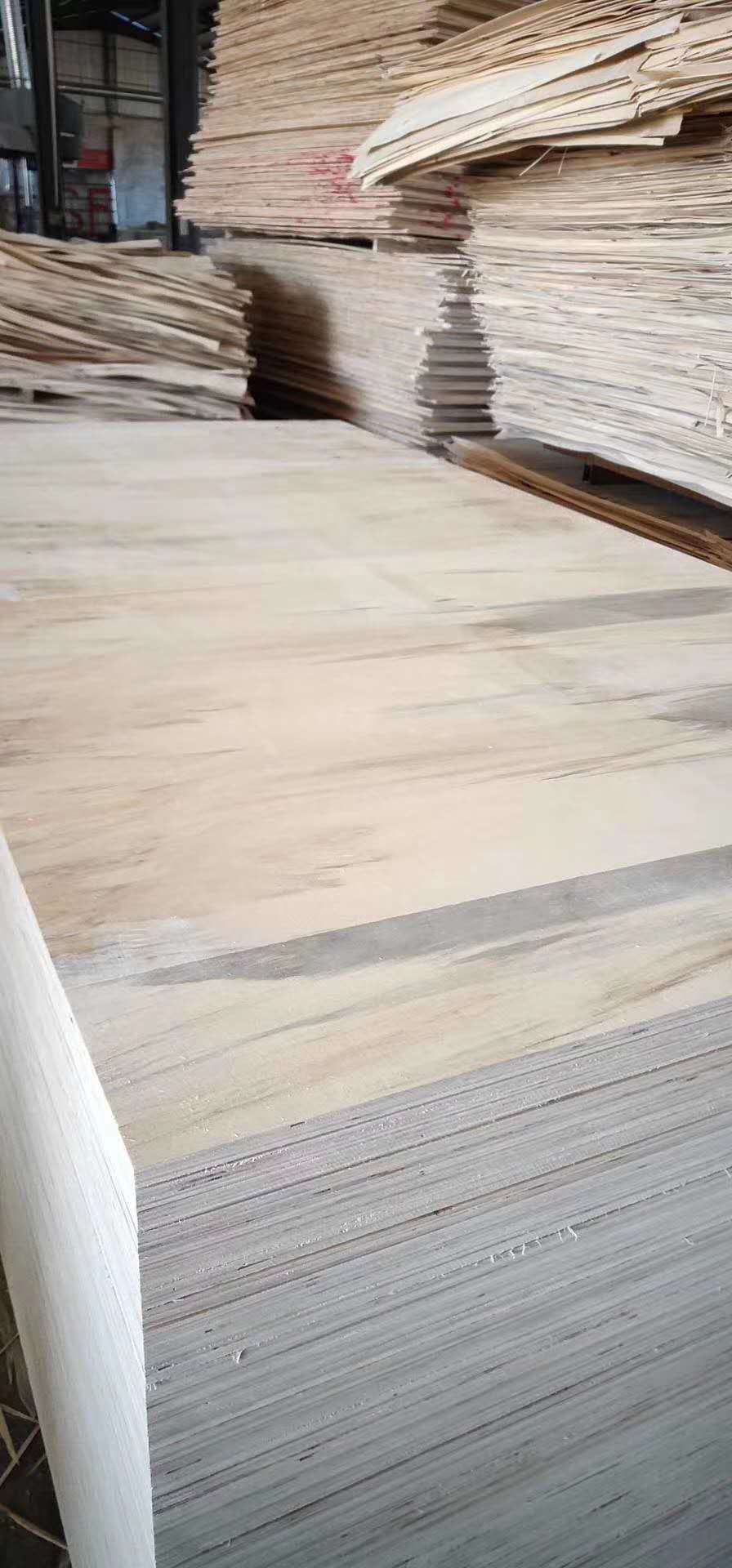 的詳細(xì)介紹